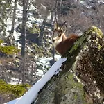 La Petite Perle Nyaraló *