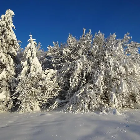 La Petite Perle Сasa de vacaciones Gérardmer