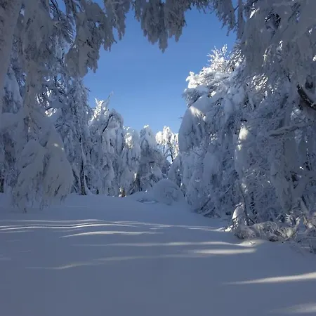 Casa vacanze La Petite Perle