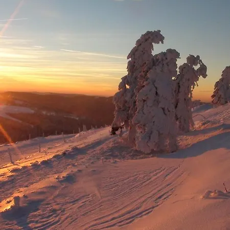 La Petite Perle Casa vacanze Gérardmer