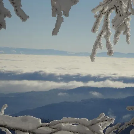 Casa vacanze La Petite Perle Gérardmer