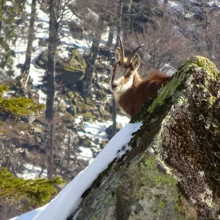 La Petite Perle Hébergement de vacances *