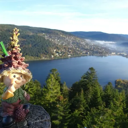 Сasa de vacaciones La Petite Perle Gérardmer