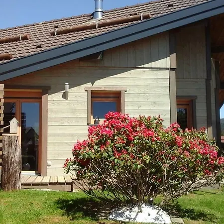 La Petite Perle Hébergement de vacances Gérardmer