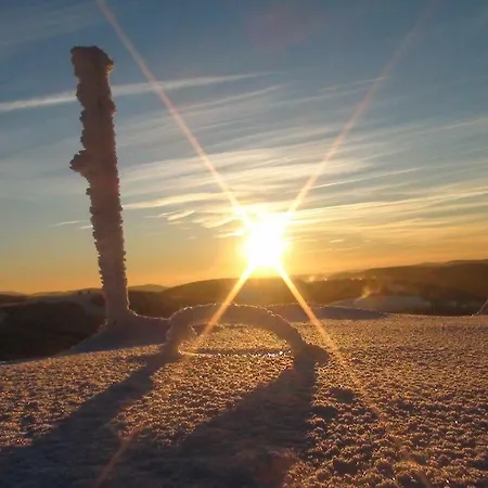 Hébergement de vacances La Petite Perle *