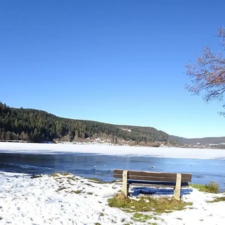 La Petite Perle Сasa de vacaciones Gérardmer