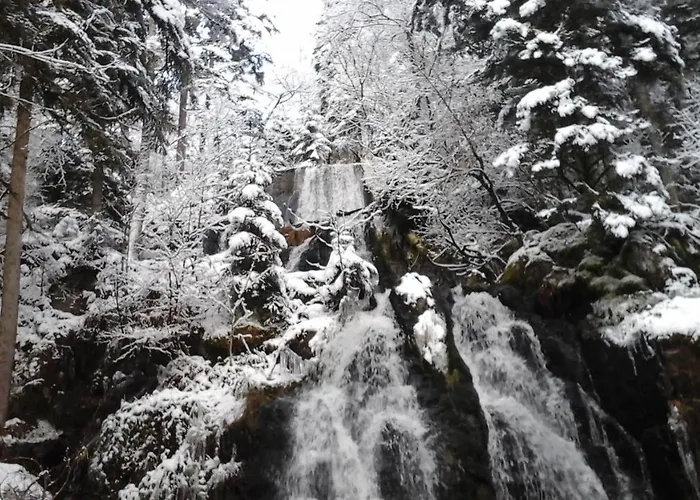 Holiday home La Petite Perle Gerardmer