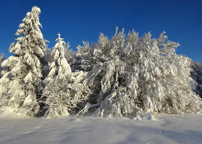 La Petite Perle Holiday home Gerardmer
