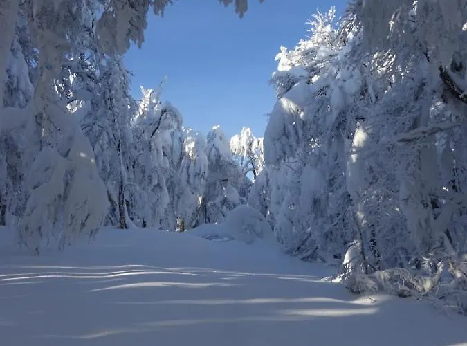 Holiday home La Petite Perle