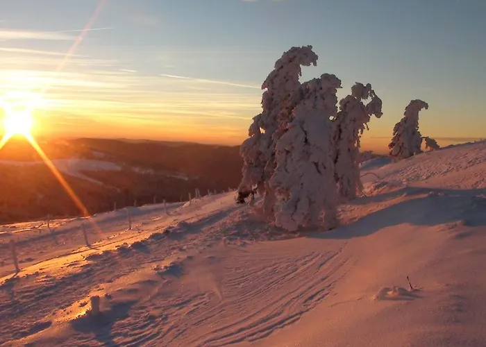 La Petite Perle Holiday home Gerardmer
