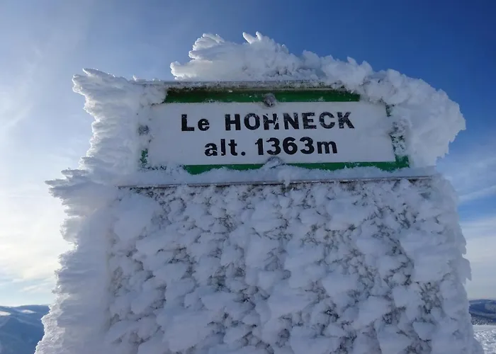 Holiday home La Petite Perle