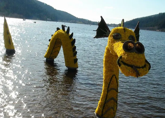 La Petite Perle Holiday home Gerardmer