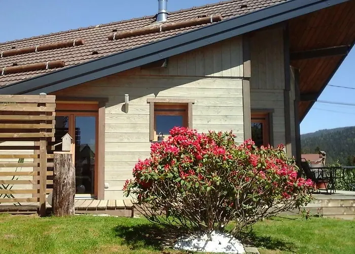 La Petite Perle Holiday home Gerardmer