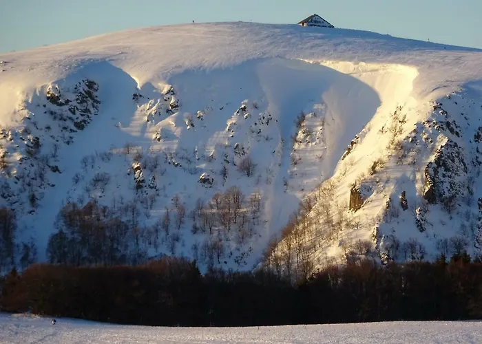Holiday home La Petite Perle Gerardmer